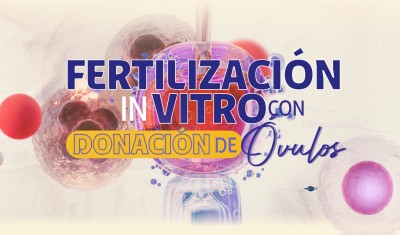 FERTILIZACIÓN IN VITRO CON DONACIÓN DE ÓVULOS