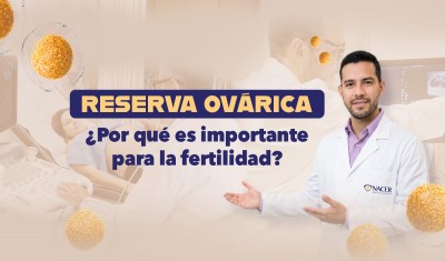 Reserva ovárica: ¿por qué es importante para la fertilidad?
