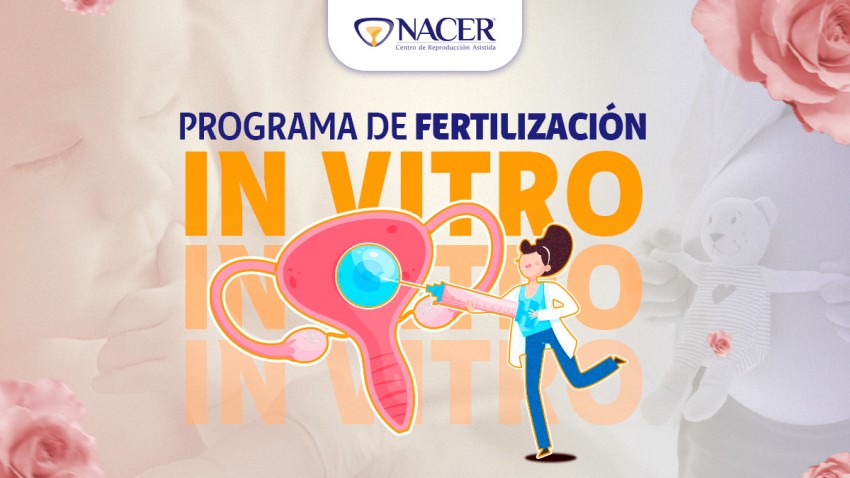 Programa de Fertilización In Vitro