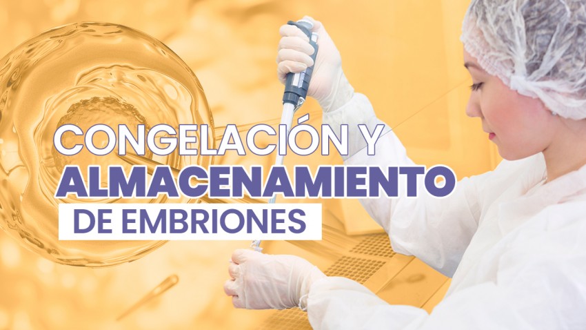 Congelación y Almacenamiento de Embriones