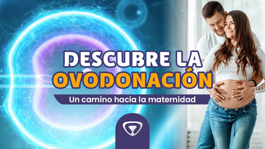 DESCUBRE LA OVODONACIÓN: UN CAMINO HACIA LA MATERNIDAD