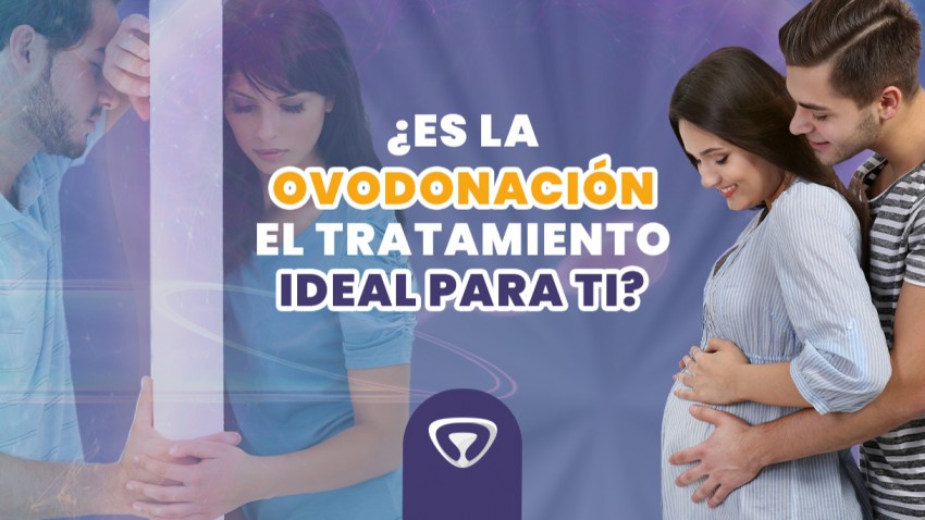 ¿ES LA OVODONACIÓN EL TRATAMIENTO IDEAL PARA TI?