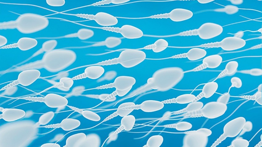 La infertilidad aumenta cada día