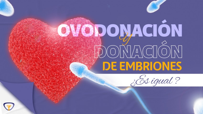 OVODONACIÓN Y DONACIÓN DE EMBRIONES ¿ES IGUAL?