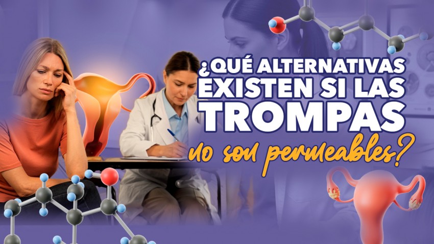 ¿Qué alternativas existen si las trompas no son permeables?