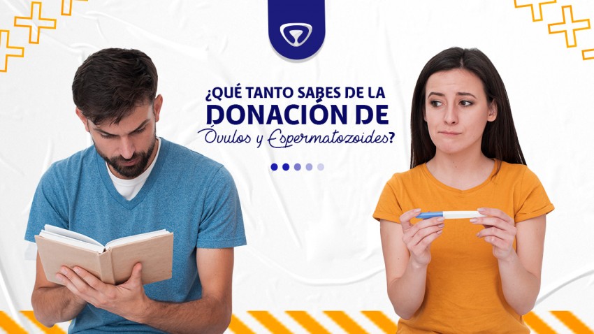 ¿Qué tanto sabe de la donación de óvulos y espermatozoides?