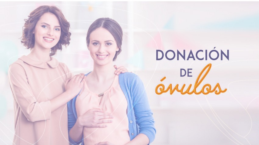 Donación de óvulos