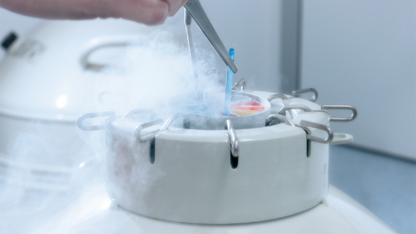 Congelación y Almacenamiento de Embriones
