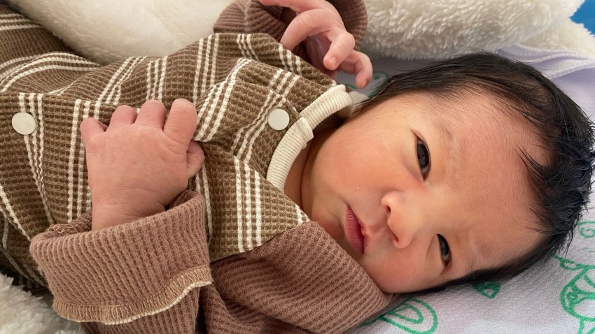 F29 : IVF